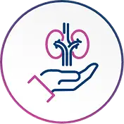 Kidney function